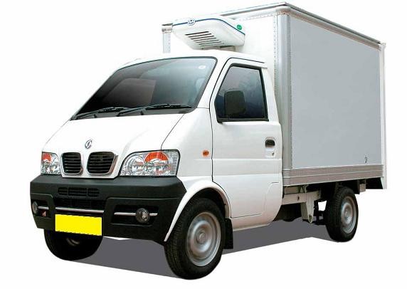 DFSK Citytruck (DFM Mini Truck) Benzine, CNG / GroenGas of 100% Electric